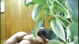 Lelu Love це півень з роговими окулярами