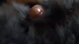 POV птахи з блондинкою