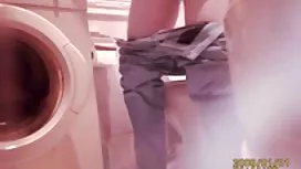 Гейлер ассекс з двома рубами і негром