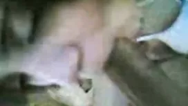 Грудиста сексуальна підлітковий трахкає ззаду